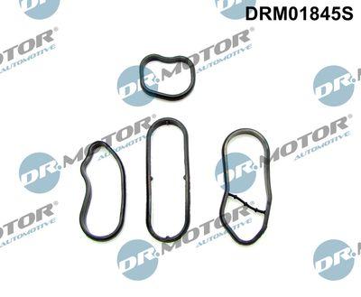 Packning, oljekylare - Packningssats, oljekylare DR.MOTOR AUTOMOTIVE DRM01845S