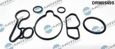 Packning, oljekylare - Packningssats, oljekylare DR.MOTOR AUTOMOTIVE DRM0549S