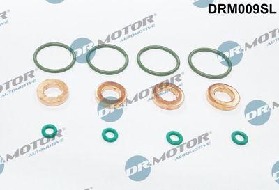 Spridartätningar - Packningssats, insprutningsmunstycke DR.MOTOR AUTOMOTIVE DRM009SL