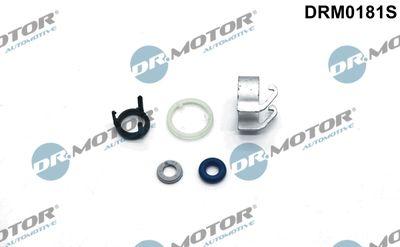 Repsats, insprutningsmunstycke - Reparationssats, insprutningsmunstycke DR.MOTOR AUTOMOTIVE DRM0181S