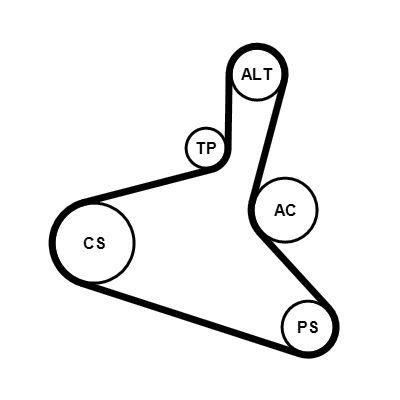 Poly v-remsats - Flerspårsremssats CONTINENTAL CTAM 6DPK1195K1