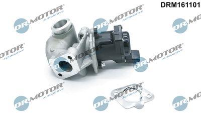 EGR-ventil - Agr-Ventil DR.MOTOR AUTOMOTIVE DRM161101