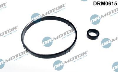 Packning, oljekylare - Packningssats, oljekylare DR.MOTOR AUTOMOTIVE DRM0615