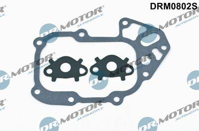 Packning, oljekylare - Packningssats, oljekylare DR.MOTOR AUTOMOTIVE DRM0802S