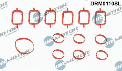 Insugningsrörspackning - Packningssats, insugsgrenrör DR.MOTOR AUTOMOTIVE DRM0110SL