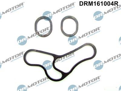 Packning, oljekylare - Packningssats, oljekylare DR.MOTOR AUTOMOTIVE DRM161004R