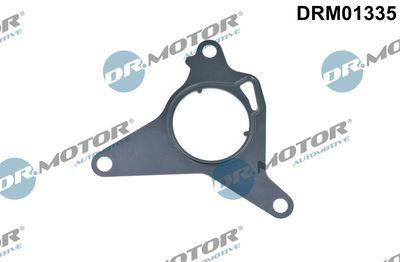 Bromsvakuumpumpar - Packning, vakuumpump DR.MOTOR AUTOMOTIVE DRM01335