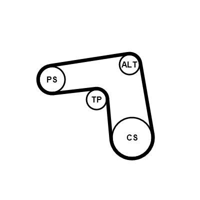 Poly v-remsats - Flerspårsremssats CONTINENTAL CTAM 7PK1076K1