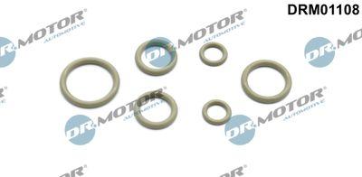 A/C-kompressor - Rep.sats, AC DR.MOTOR AUTOMOTIVE DRM01108