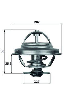 Termostat - Termostat, kylmedel MAHLE TX 21 80D