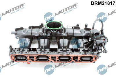 Insugningsgrenrör - Sugrörmodul DR.MOTOR AUTOMOTIVE DRM21817