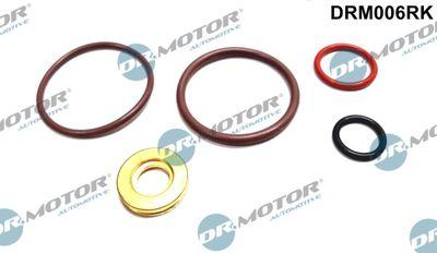 Repsats, insprutningsmunstycke - Reparationssats, pump-/ munstycksenhet DR.MOTOR AUTOMOTIVE DRM006RK