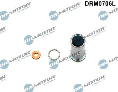 Repsats, insprutningsmunstycke - Reparationssats, insprutningsmunstycke DR.MOTOR AUTOMOTIVE DRM0706L