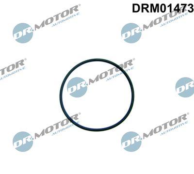 Packning, bränslepump - Packning, bränslepump DR.MOTOR AUTOMOTIVE DRM01473