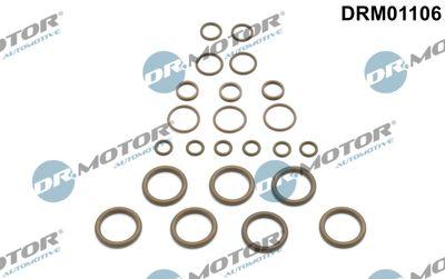 A/C-kompressor - Rep.sats, AC DR.MOTOR AUTOMOTIVE DRM01106