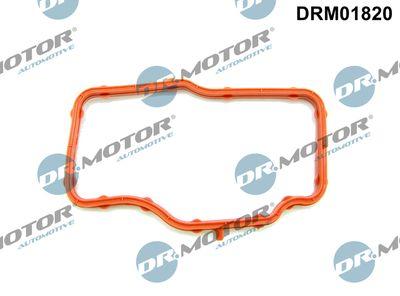 Packning, termostat - Packninmg, termostathus DR.MOTOR AUTOMOTIVE DRM01820