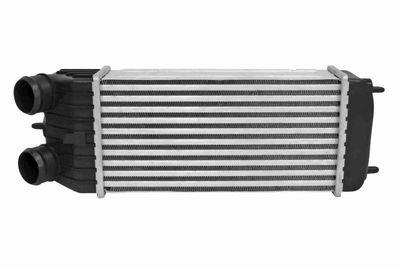 Intercooler - Laddluftkylare VEMO V22-60-0005