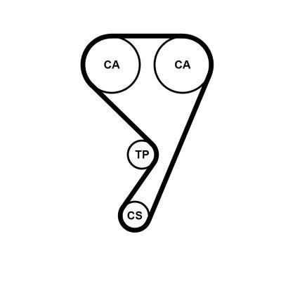 Vattenpump + kamremssats - Vattenpump + kuggremssats CONTINENTAL CTAM CT1211WP1