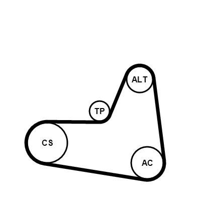 Poly v-remsats - Flerspårsremssats CONTINENTAL CTAM 6PK1045K2