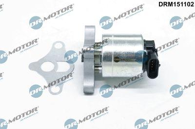 EGR-ventil - Agr-Ventil DR.MOTOR AUTOMOTIVE DRM151102