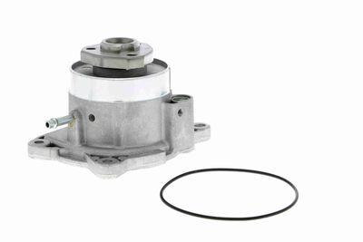 Vattenpump - Vattenpump, motorkylning VAICO V10-50081