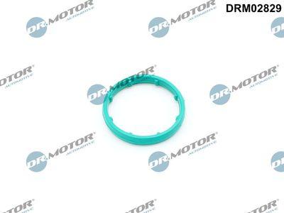 Packning, oljekylare - Packning, oljekylare DR.MOTOR AUTOMOTIVE DRM02829