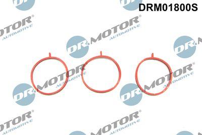 Insugningsrörspackning - Packningssats, insugsgrenrör DR.MOTOR AUTOMOTIVE DRM01800S