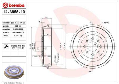 Bromstrummor - Bromstrumma BREMBO 14.A855.10