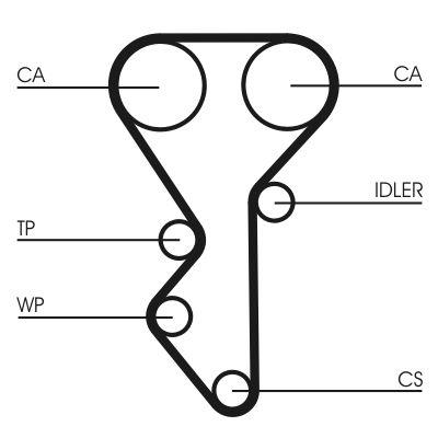 Vattenpump + kamremssats - Vattenpump + kuggremssats CONTINENTAL CTAM CT955WP2