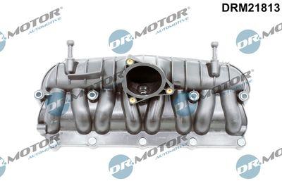 Insugningsgrenrör - Sugrörmodul DR.MOTOR AUTOMOTIVE DRM21813