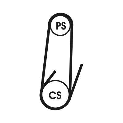 Poly v-rem - Flerspårsrem CONTINENTAL CTAM 4PK1102 ELAST