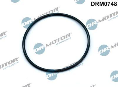 Bromsvakuumpumpar - Packning, vakuumpump DR.MOTOR AUTOMOTIVE DRM0748