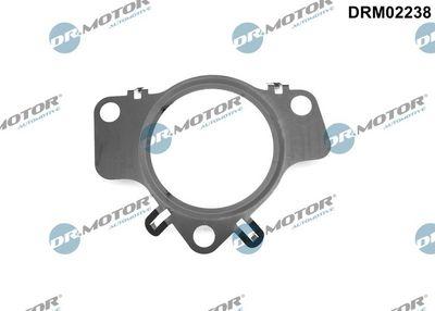 Packning, turboladdare - Packning, laddare DR.MOTOR AUTOMOTIVE DRM02238