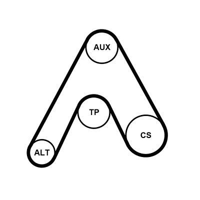 Poly v-remsats - Flerspårsremssats CONTINENTAL CTAM 6PK1217K3