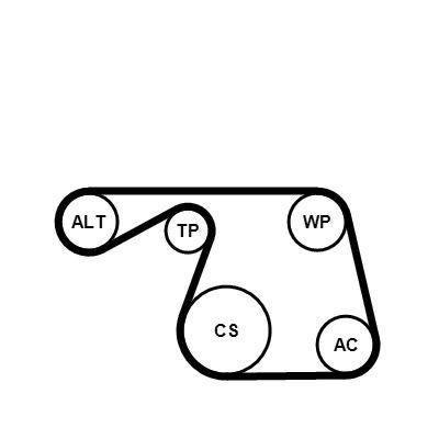 Vattenpump + serpentinremsats - Vattenpump + spårremssats CONTINENTAL CTAM 6PK1310WP1