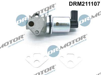 EGR-ventil - Agr-Ventil DR.MOTOR AUTOMOTIVE DRM211107