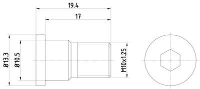 Skruvar - Skruv, bromslamell HELLA PAGID 8DZ 355 209-071