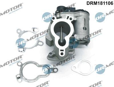 EGR-ventil - Agr-Ventil DR.MOTOR AUTOMOTIVE DRM181106