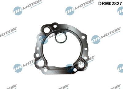 Packning, EGR-ventil - Packning EGR-ventil DR.MOTOR AUTOMOTIVE DRM02827