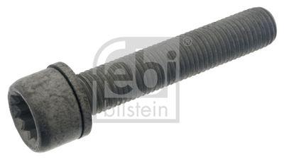 Skruvar - Bult, bromsok FEBI BILSTEIN 48817