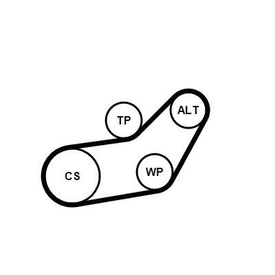 Vattenpump + serpentinremsats - Vattenpump + spårremssats CONTINENTAL CTAM 6PK1045WP3