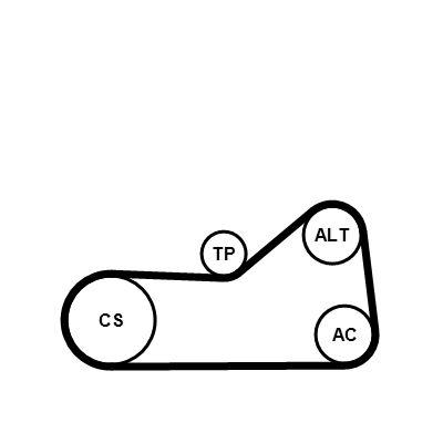 Vattenpump + serpentinremsats - Vattenpump + spårremssats CONTINENTAL CTAM 6PK976WP1