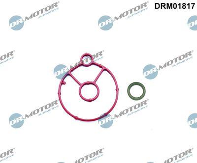 Packning, oljekylare - Packningssats, oljekylare DR.MOTOR AUTOMOTIVE DRM01817