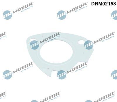 Packning, turboladdare - Packning, laddare DR.MOTOR AUTOMOTIVE DRM02158