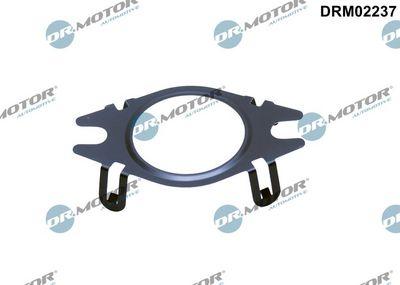 Packning, EGR-ventil - Packning, EGR-ventilledning DR.MOTOR AUTOMOTIVE DRM02237