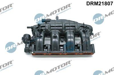 Insugningsgrenrör - Sugrörmodul DR.MOTOR AUTOMOTIVE DRM21807