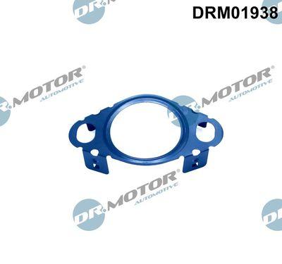 Packning, EGR-ventil - Packning, EGR-ventilledning DR.MOTOR AUTOMOTIVE DRM01938