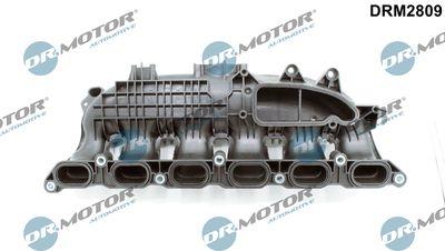 Insugningsgrenrör - Sugrörmodul DR.MOTOR AUTOMOTIVE DRM2809