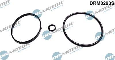 Packning, oljekylare - Packningssats, oljekylare DR.MOTOR AUTOMOTIVE DRM0293S