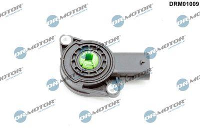 Insugningsgrenrör - Sensor, insugsrörsspjäll DR.MOTOR AUTOMOTIVE DRM01009